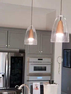 Bull Dog Electric Logo