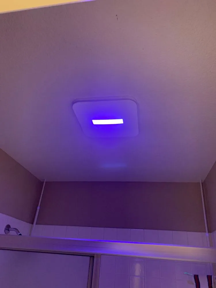 Slide of Bulldog Electric