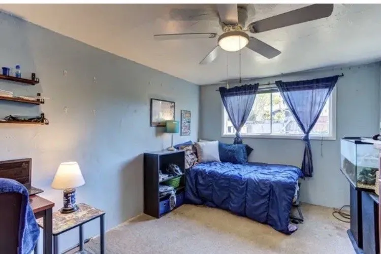 Slide of Bulldog Electric