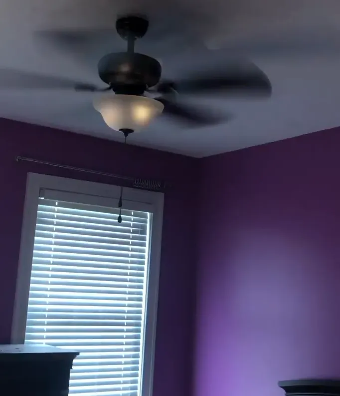 Slide of Bumblebee Electric Company