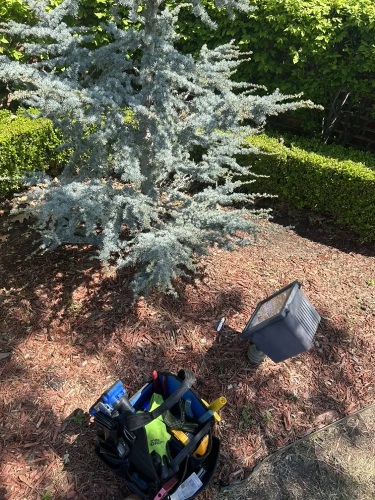 Slide of Busy Banks Electric