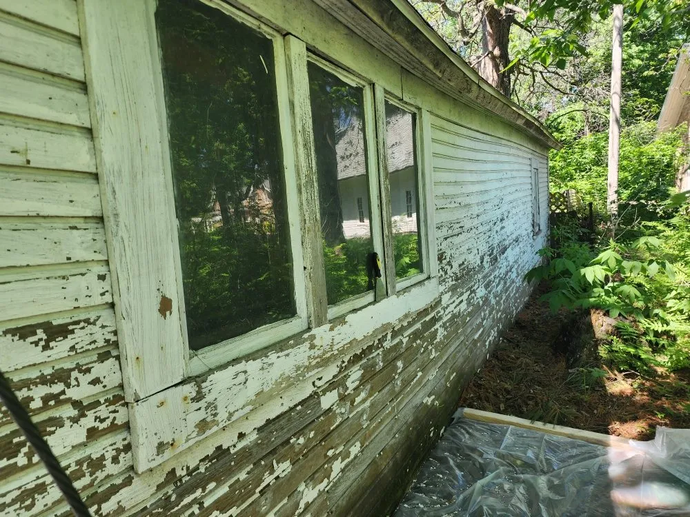 Slide of Busybee's Painting