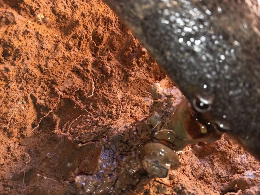 Reliable electrician providing outlet and switch repair in , 