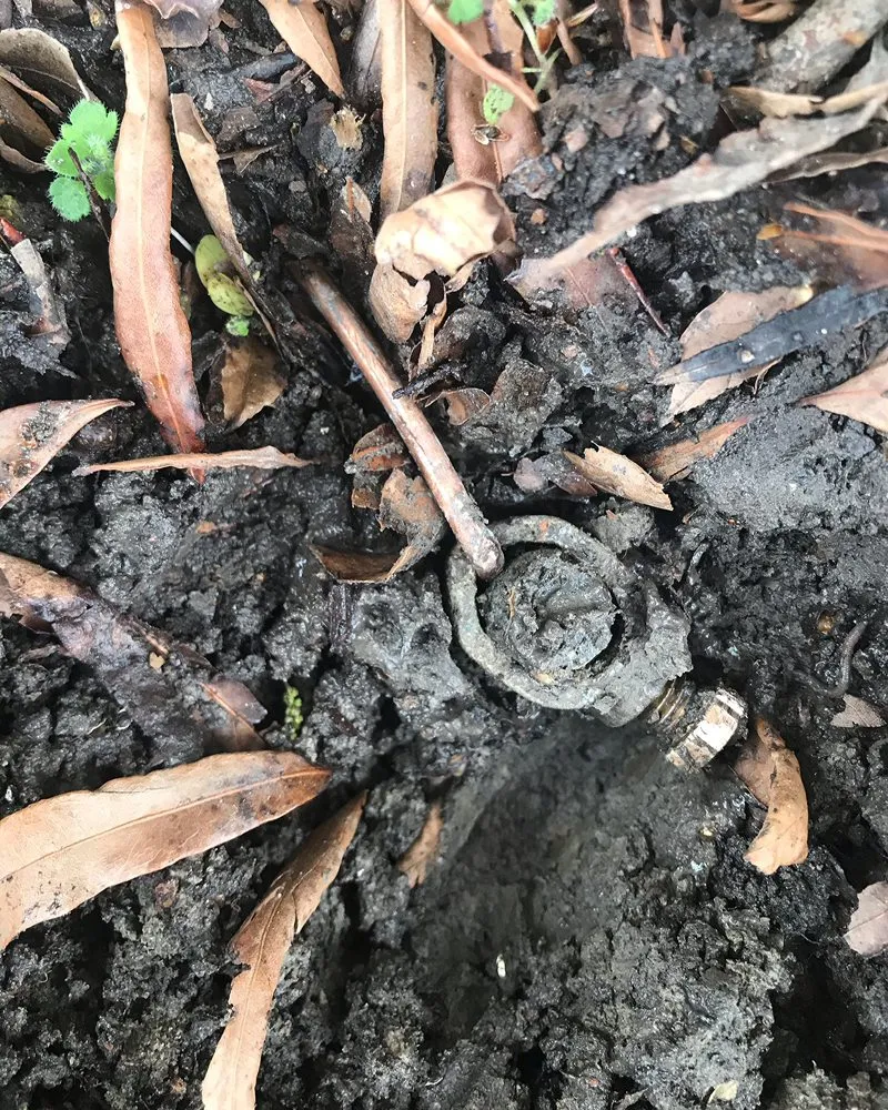 Slide of BW Electric