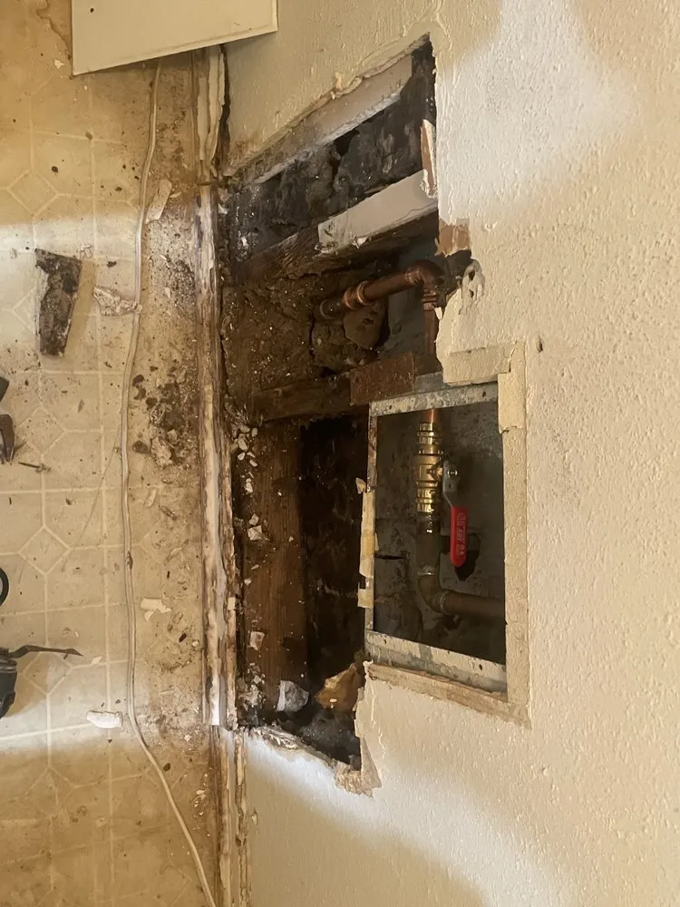 Slide of By Any Means Services