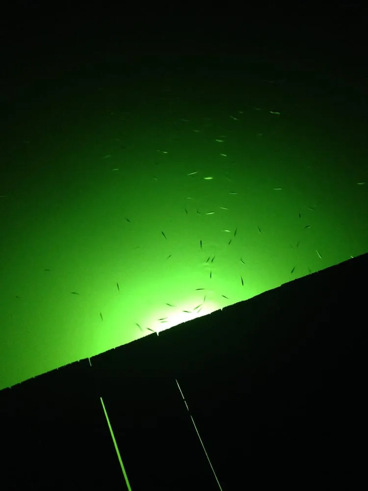 Slide of C & T Electric