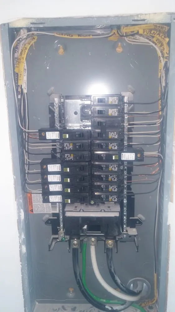 Slide of C Burti Electric