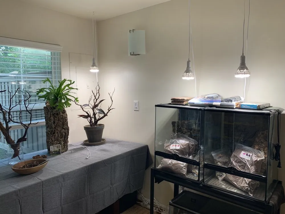 Slide of C My Handyman