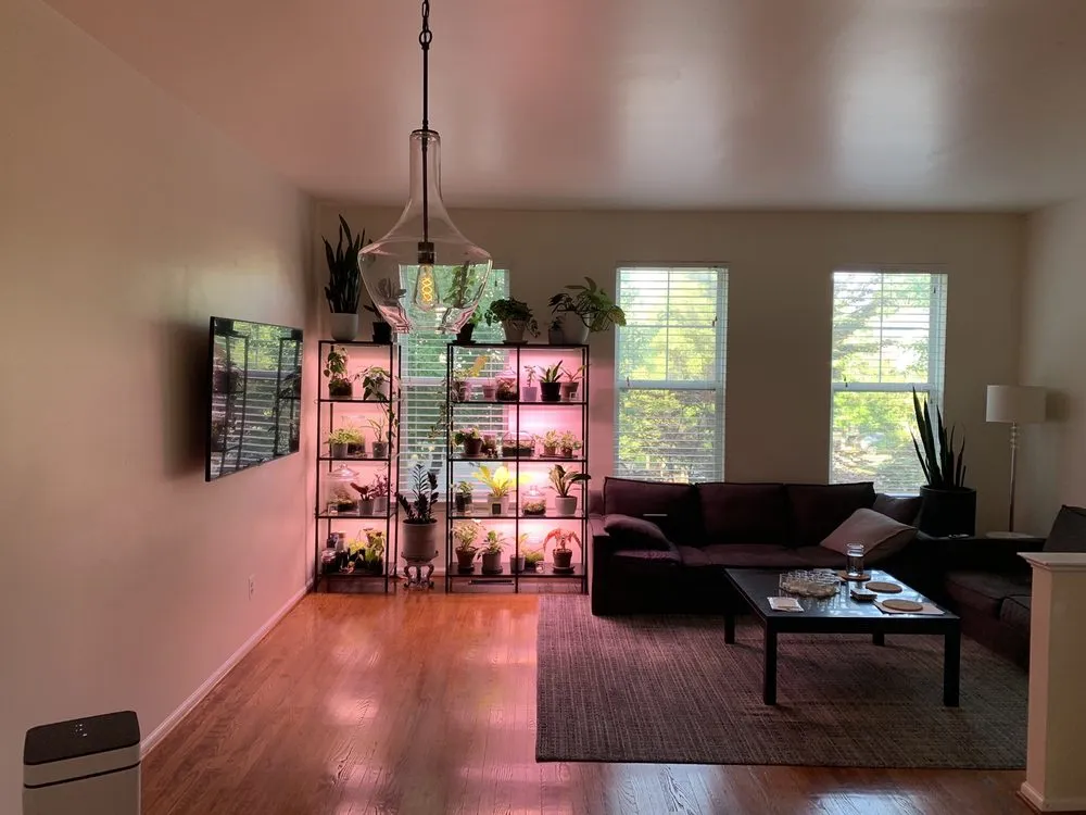 Slide of C My Handyman