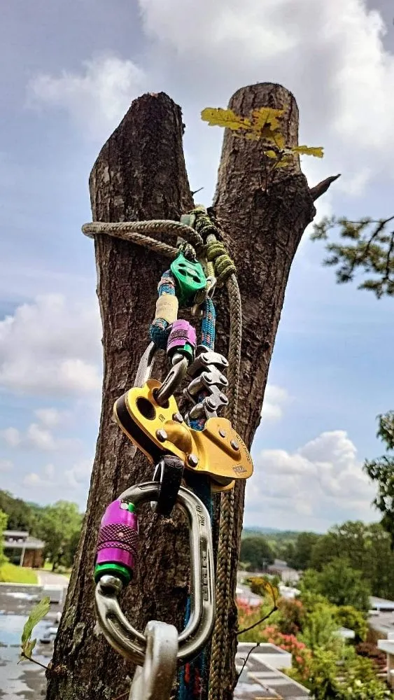 Slide of C P Property Preservation