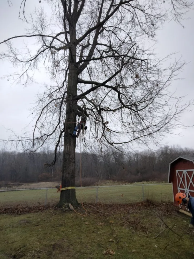 Slide of C P Property Preservation