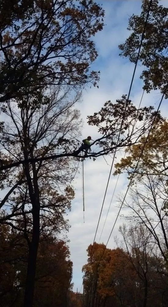 Slide of C P Property Preservation