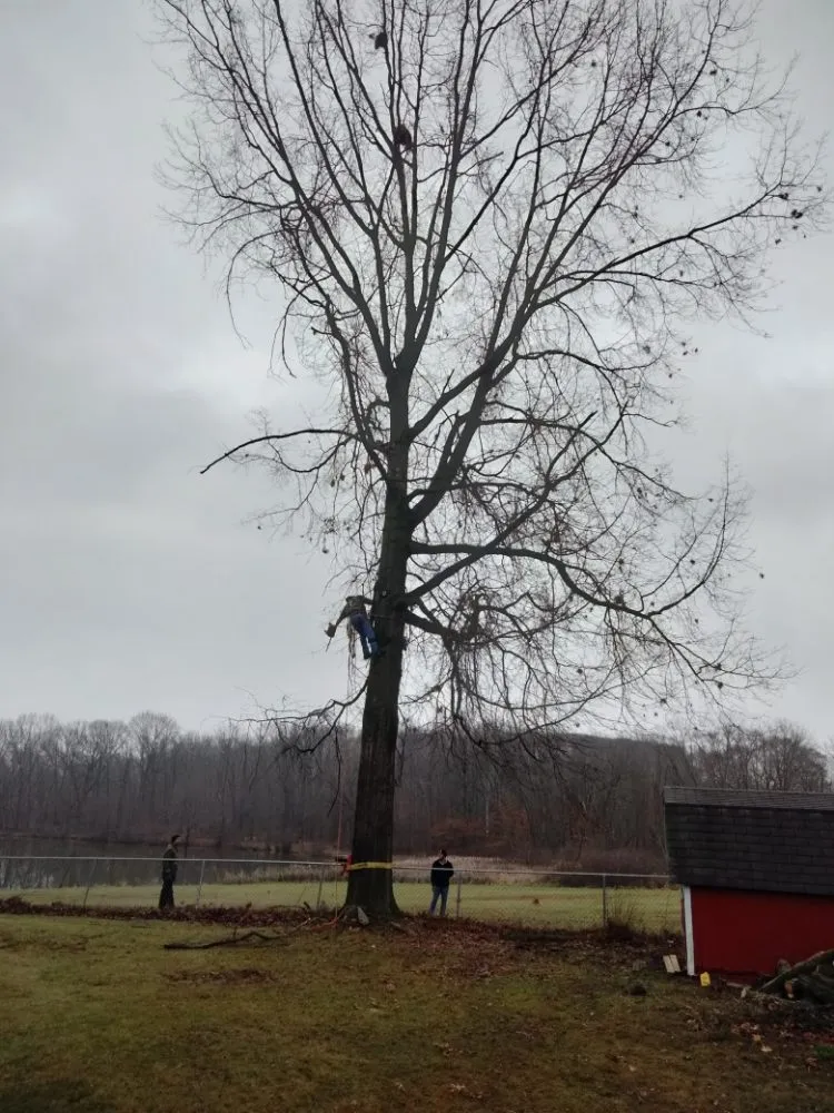 Slide of C P Property Preservation