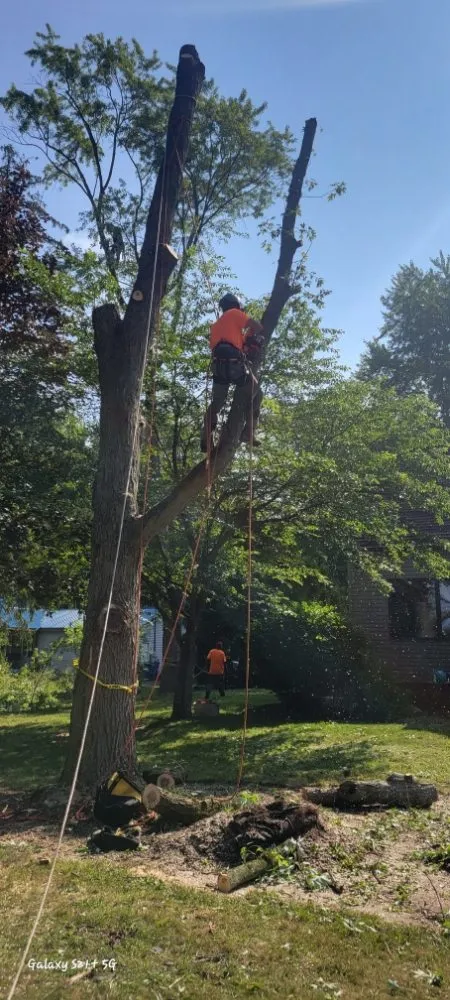 Slide of C P Property Preservation