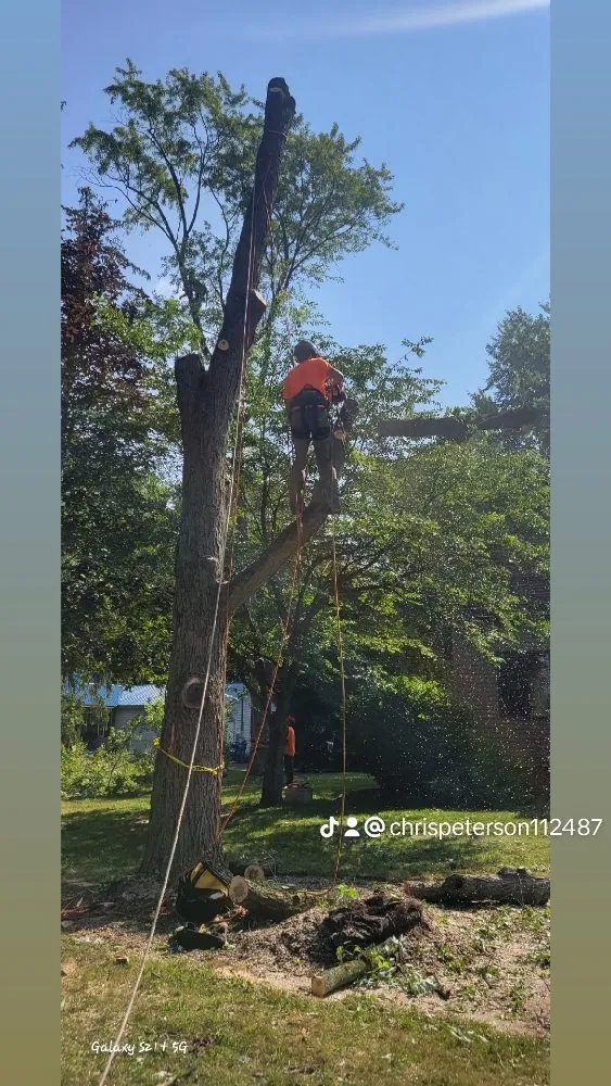 Expert outlet and switch repair experts serving ,  - C P Property Preservation