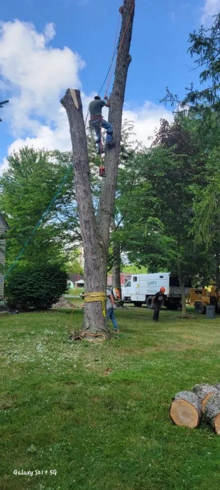 Affordable electrician providing circuit breaker repair in , 