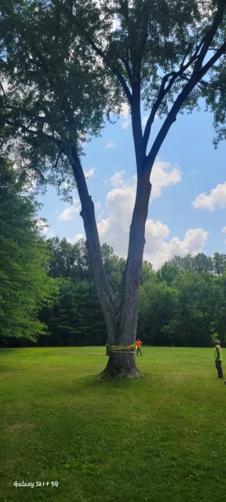 Professional lighting installation in ,  by C P Property Preservation