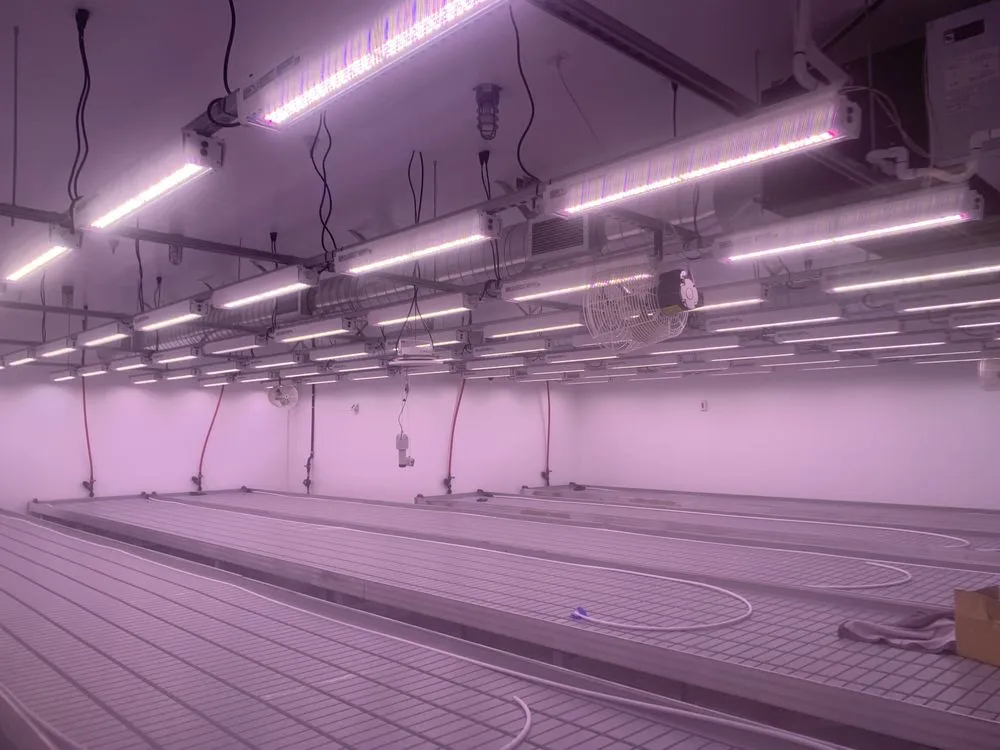 Slide of C S K Electric