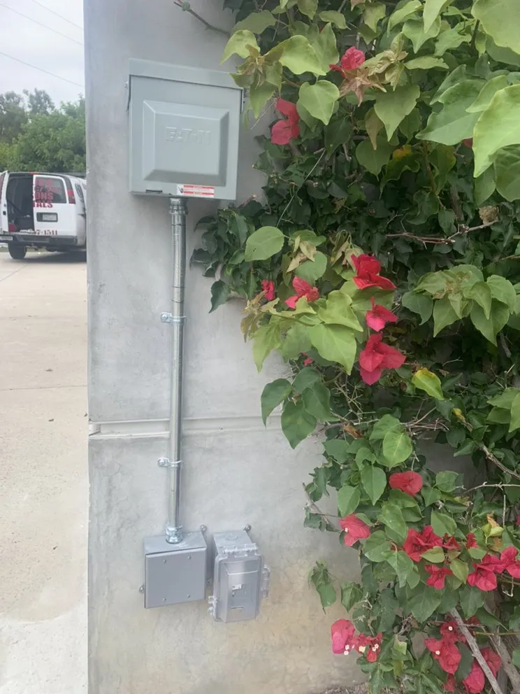 Slide of C1 Electric