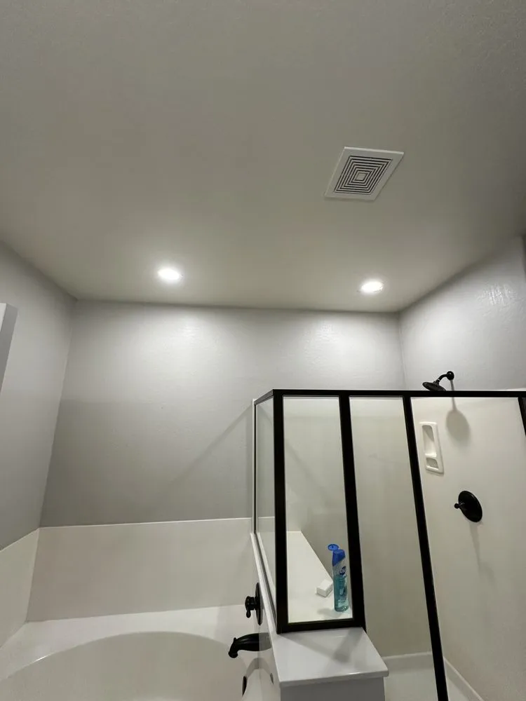 Slide of Cactus Currents Electrical