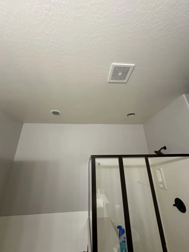 Slide of Cactus Currents Electrical