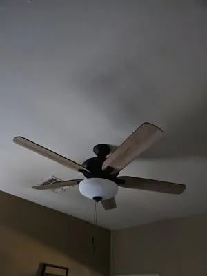 Cactus Valley Electrical Logo