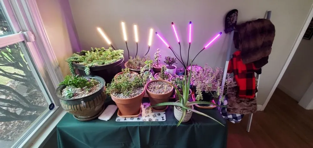 Slide of CAD Contractors