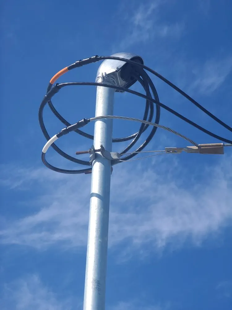 Slide of Cala's Electric