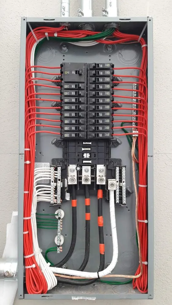 Slide of Cala's Electric