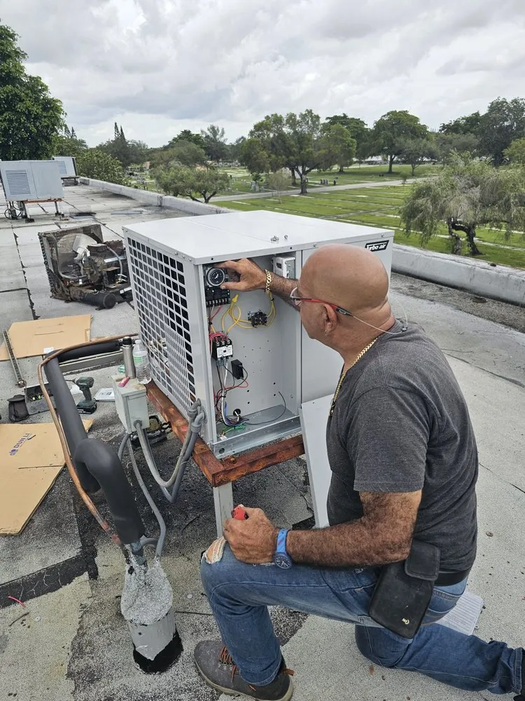 Slide of Cala's Electric