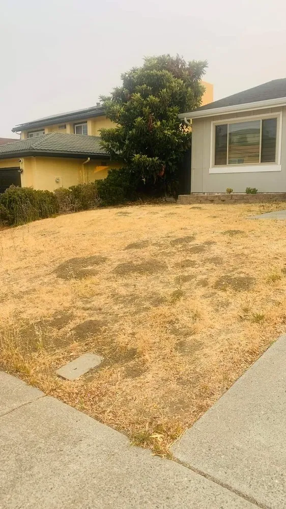 Slide of Cali Handyman Services