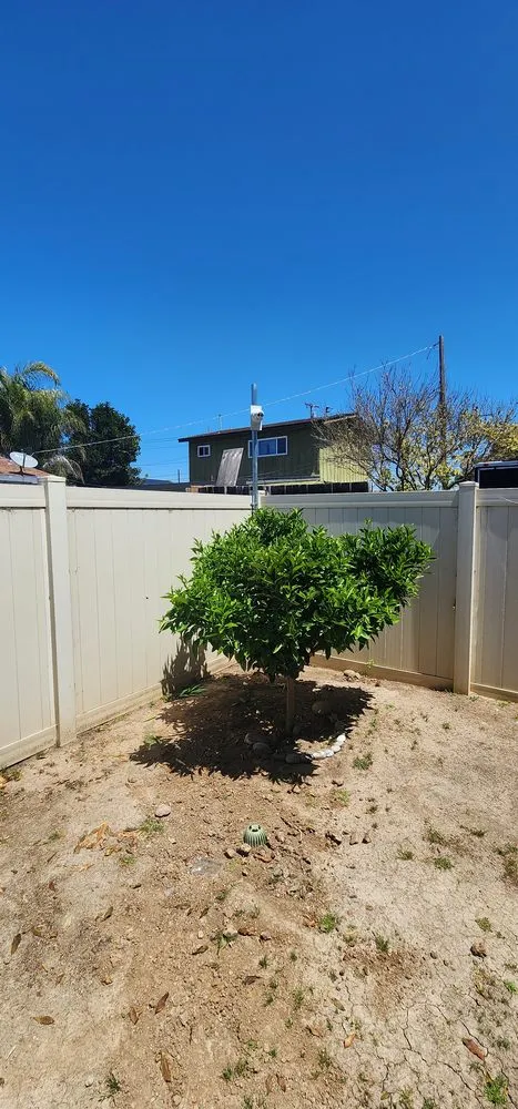 Reliable lighting installation service in ,  - California Security and Automation Systems