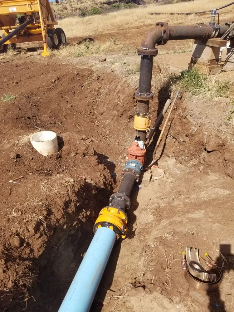 Slide of Call Dad the Handyman