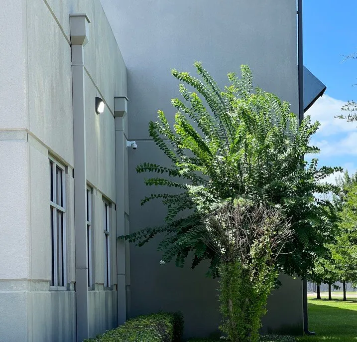 Slide of Camden Electric