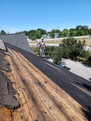 Camden Services Logo