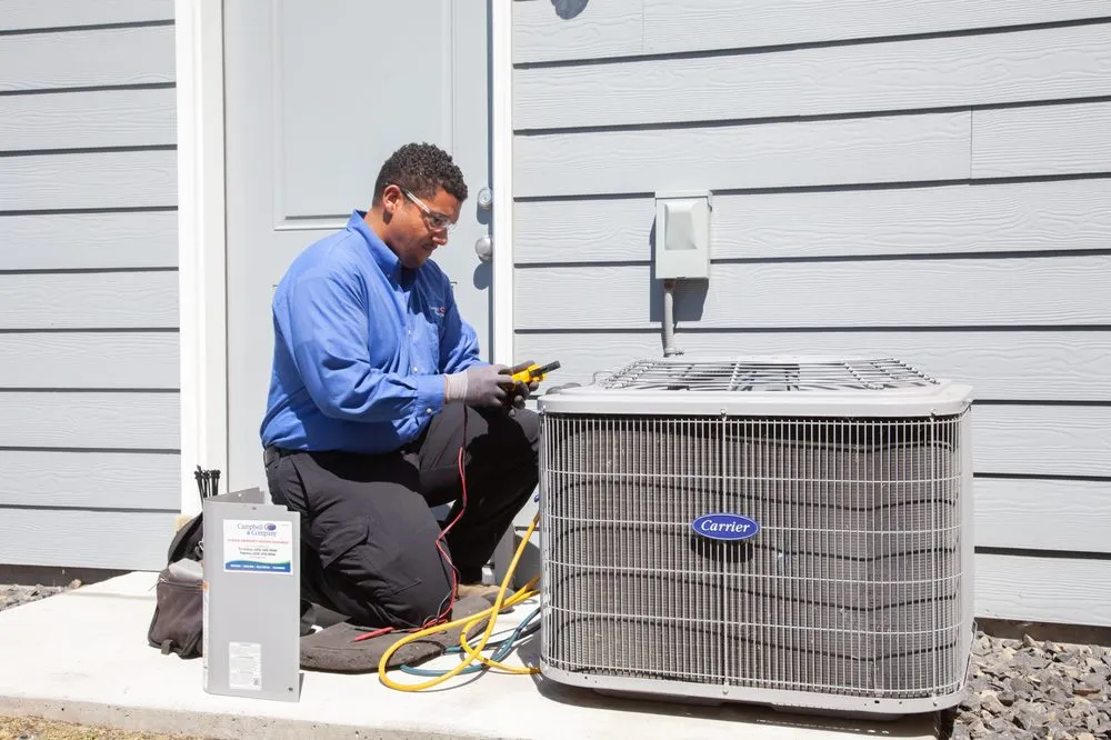 Slide of Campbell & Company