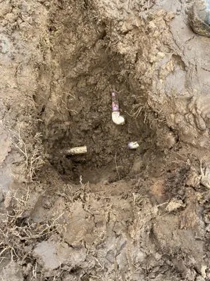 Campbell Electric Logo