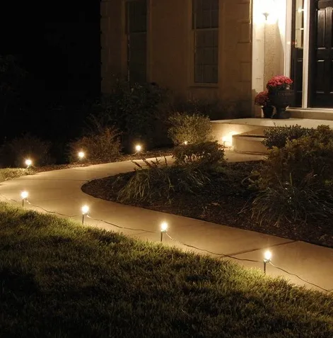 Slide of Canistear Electric