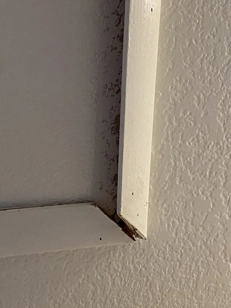 Slide of Canyon Electric