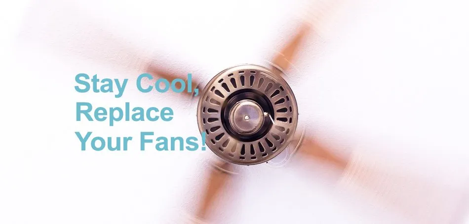 Slide of Canyon Electric