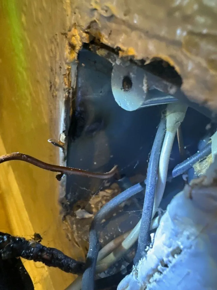 Slide of Capistrano Electric