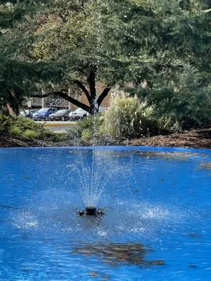 Capital Site Lighting