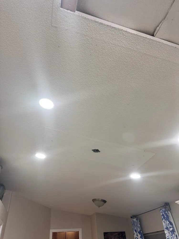 Slide of Capra Electric