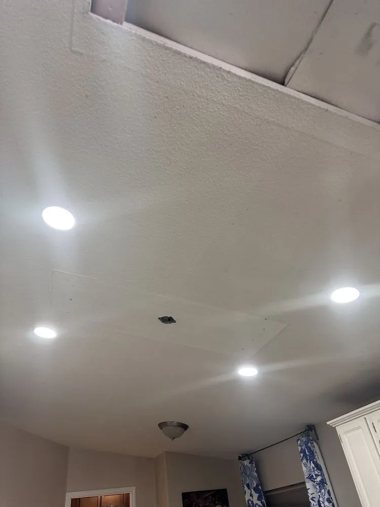 Slide of Capra Electric