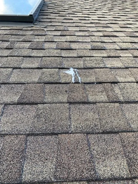 Slide of Care Electric