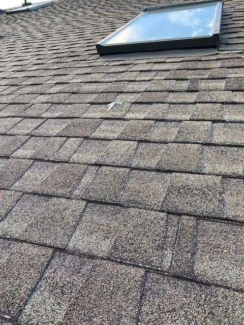 Slide of Care Electric