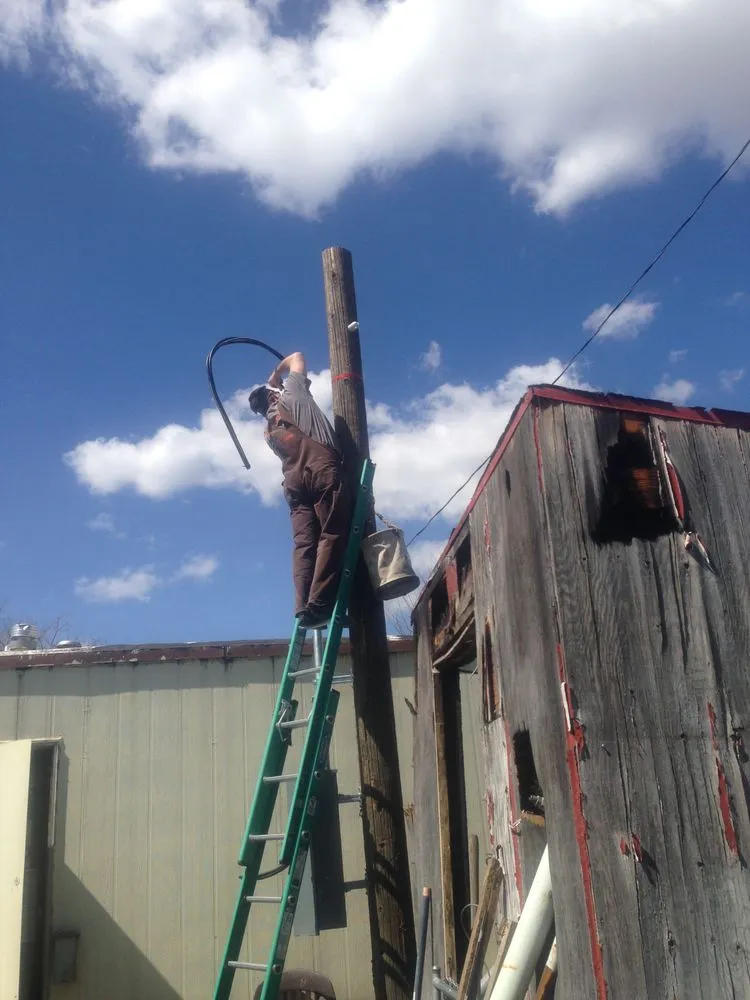 Slide of Carey Electric