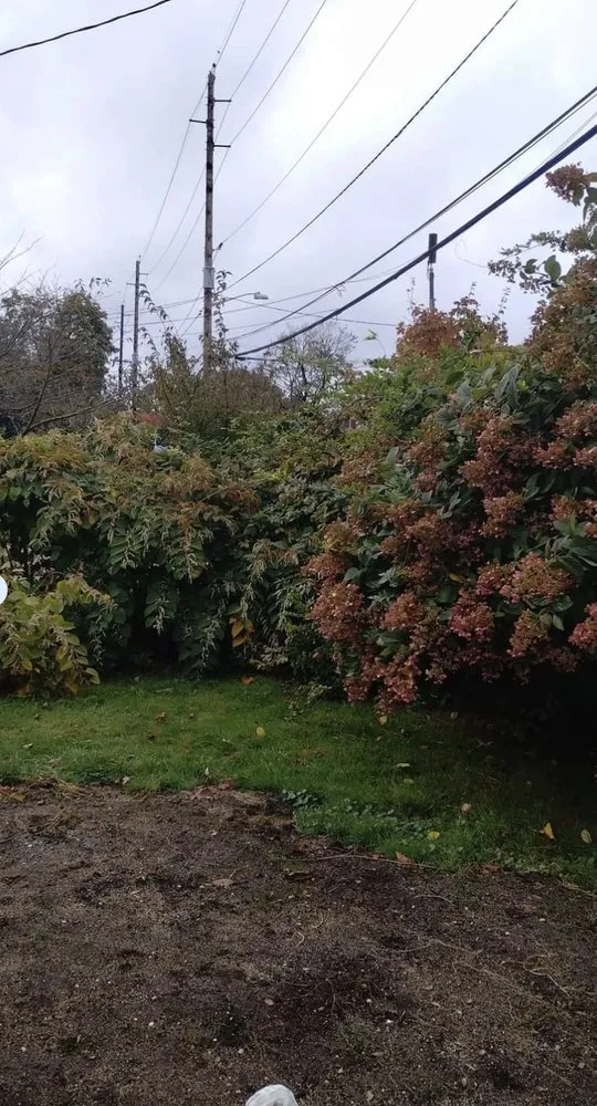 Trusted electrician providing panel upgrade in Pennsauken Township, NJ - Carlos Landscaping & Handyman