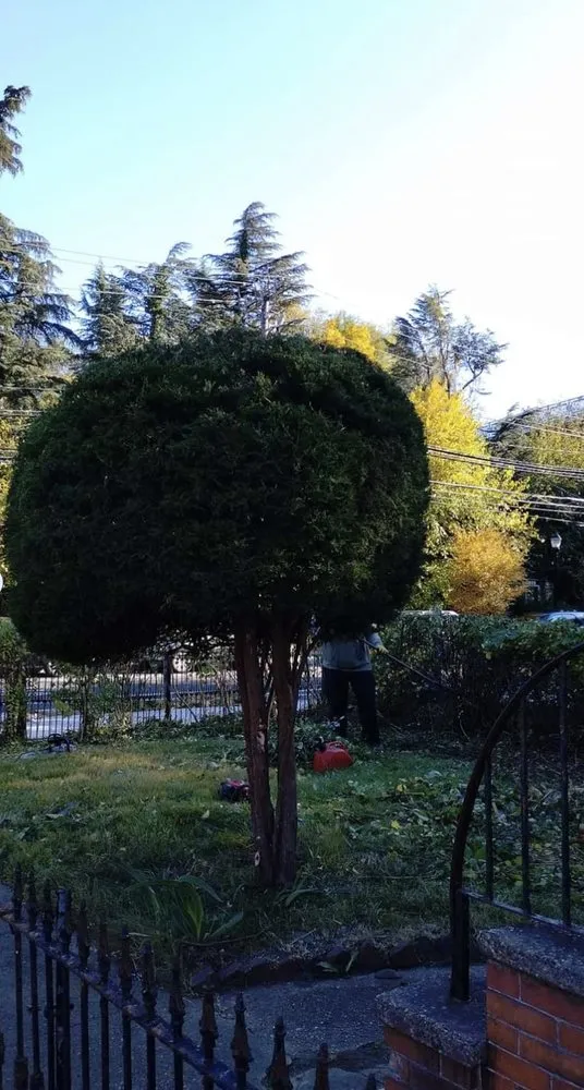 Trusted electrician providing lighting installation in Pennsauken Township, NJ - Carlos Landscaping & Handyman