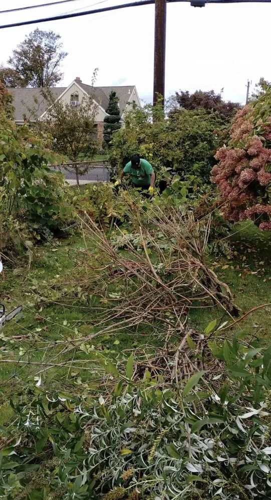 Reliable electrician providing outlet and switch repair in Pennsauken Township, NJ - Carlos Landscaping & Handyman